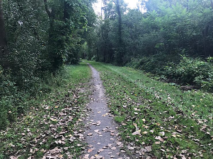 trail at Weedsport