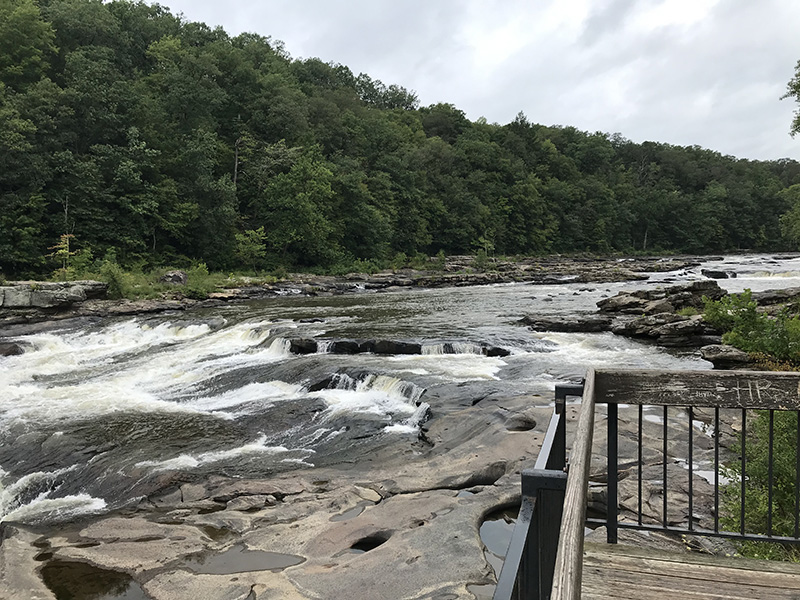 The Falls at Ohiopyle, from an observation point