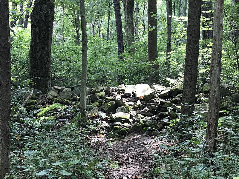 Old stone wall