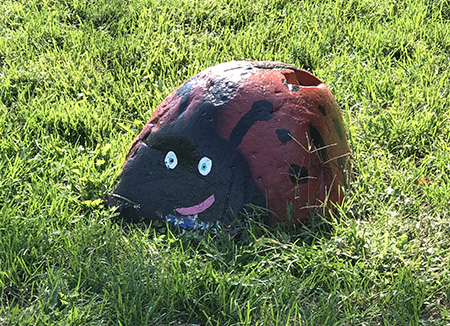 Painted rock