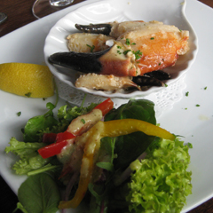 Crab claws