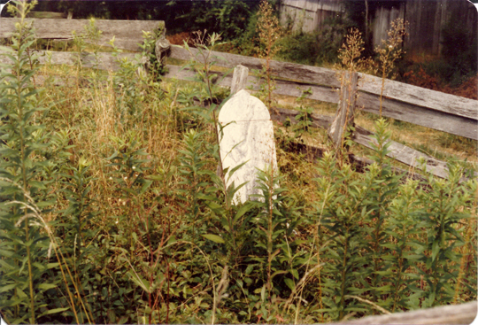 1982 photo of stone in the graveyard where Charlie Madison, Sis and Stant are buried