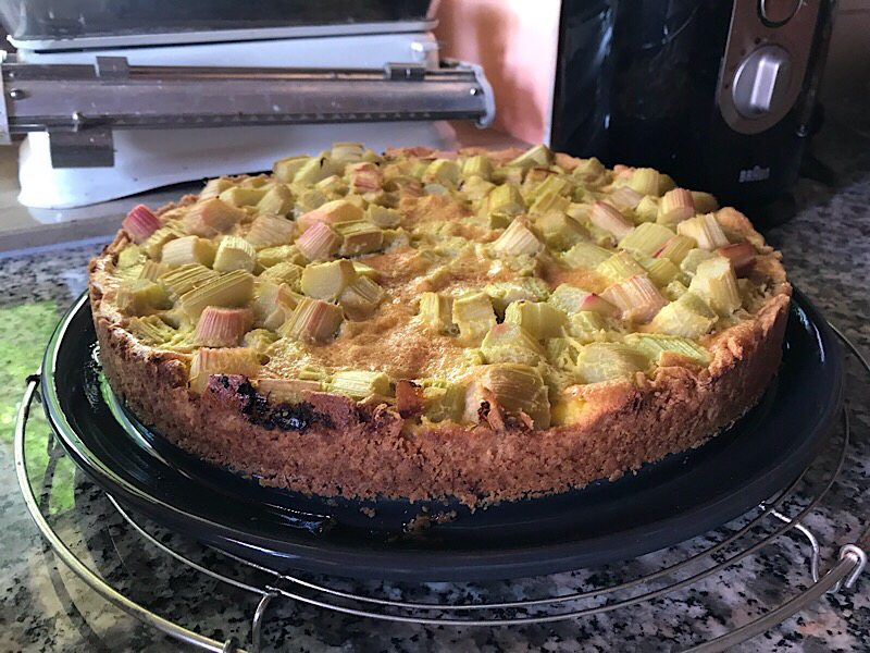 Rhubarb cake