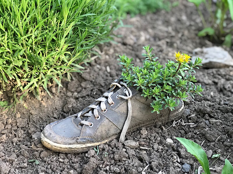 Garden shoe